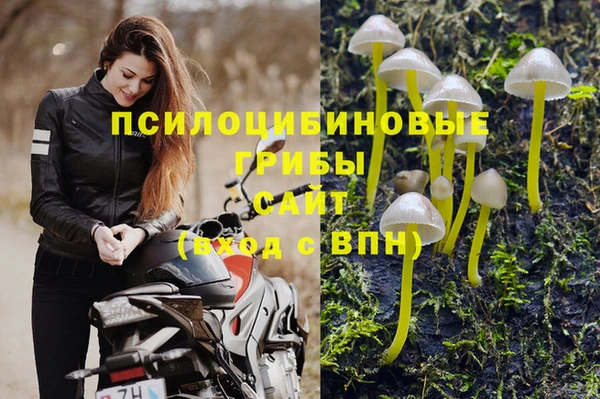 круглые Абаза