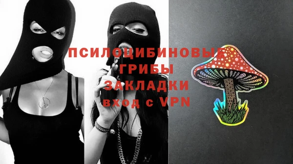 круглые Абаза